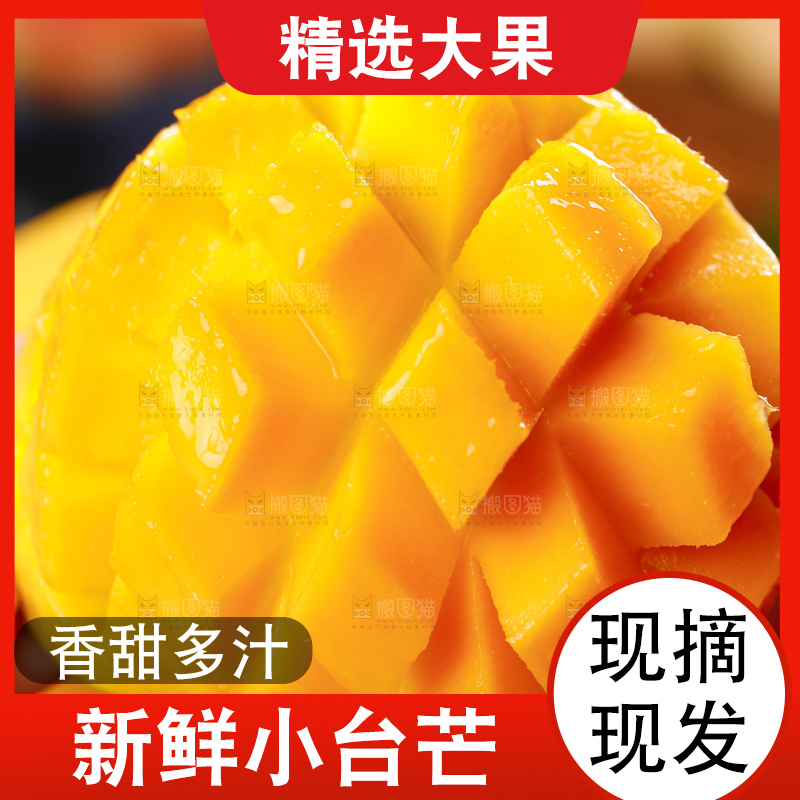 手里拿着小台农芒