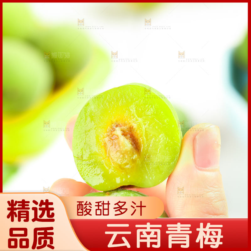 手上拿着新鲜青梅