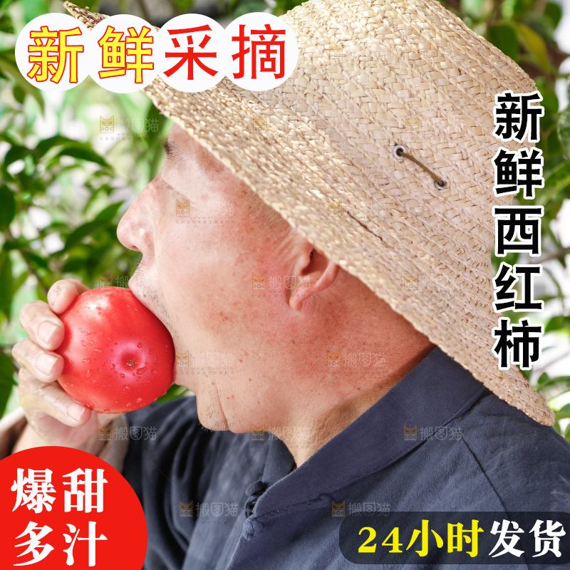 农民手里拿着普罗旺斯西红柿