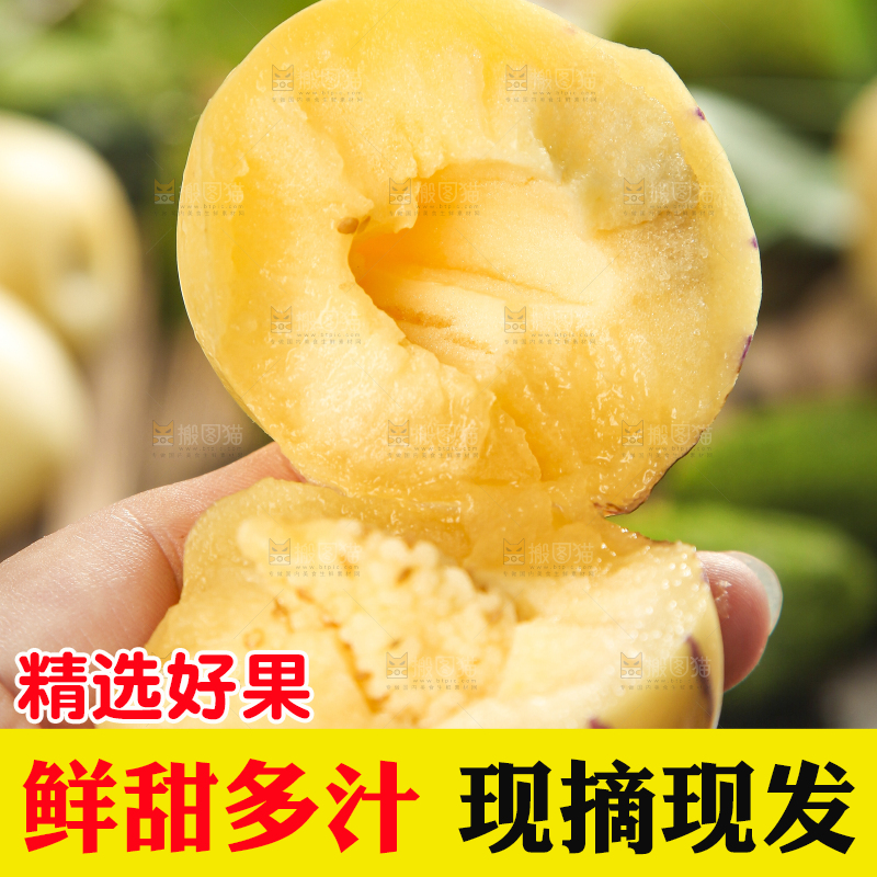 手里拿着人参圆果