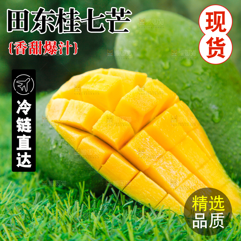 草地上放着青皮桂七芒