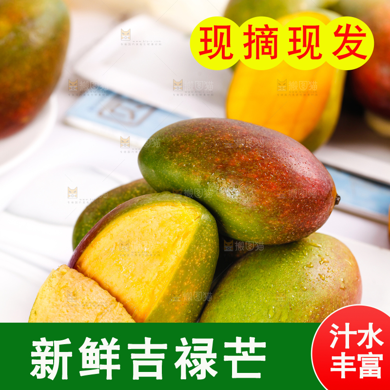 白底上放着吉禄芒