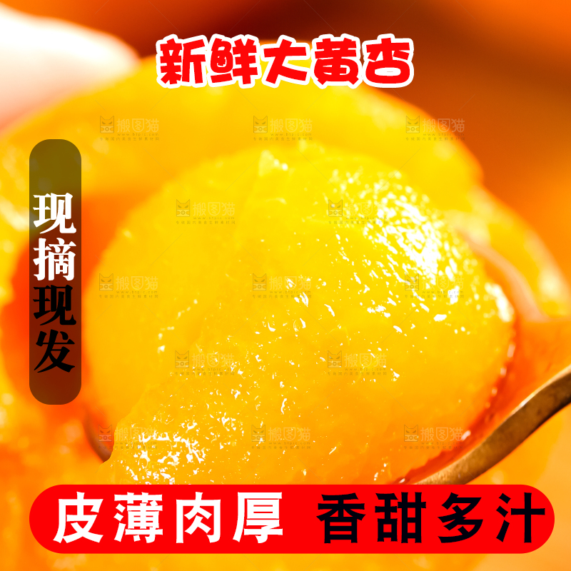 勺子上放着杏子