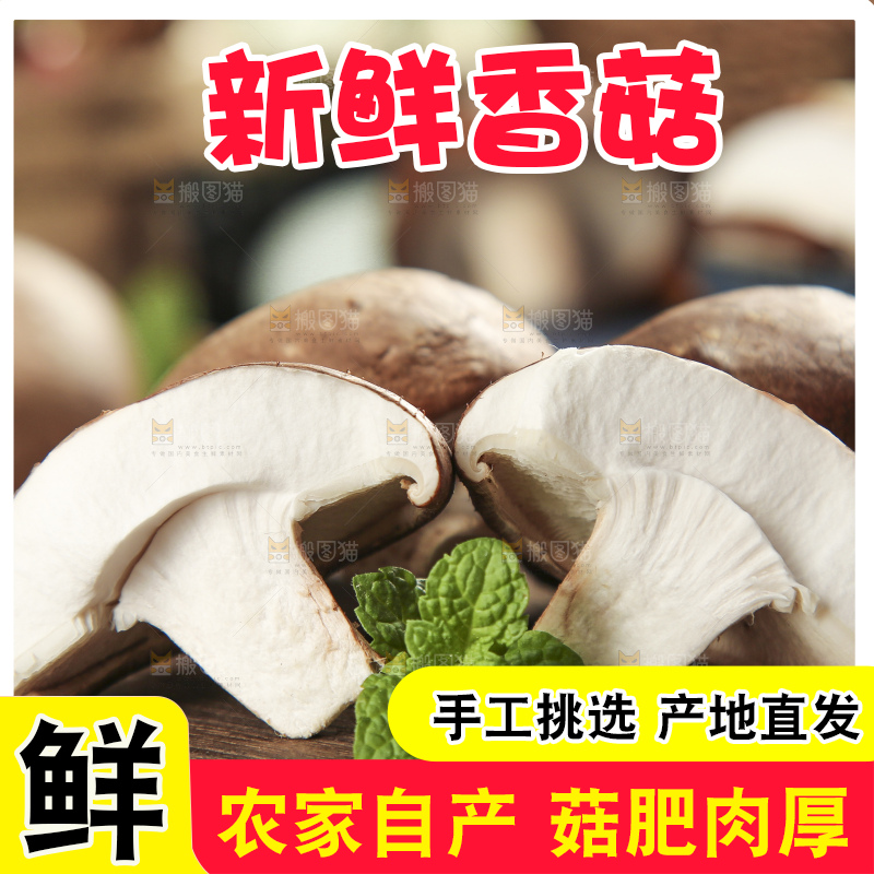木底上摆放着湖北香菇