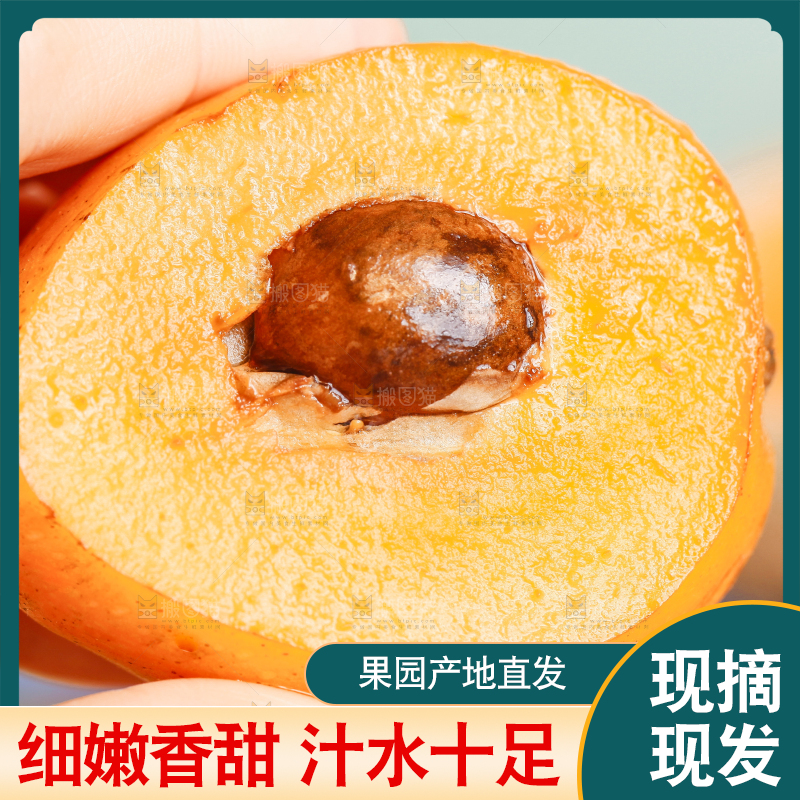 手里拿着枇杷果