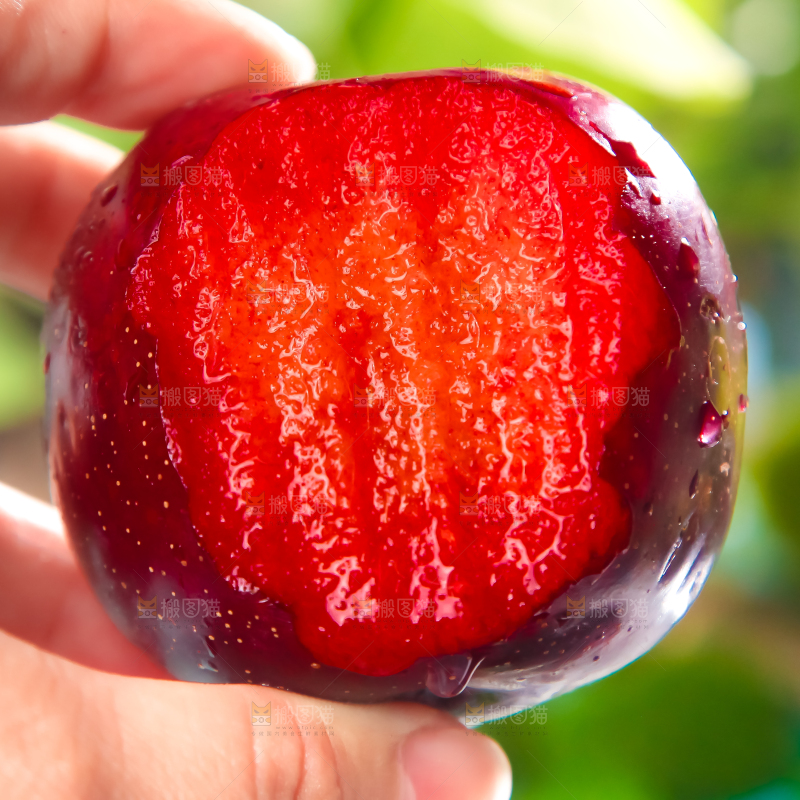 手里拿着红布林