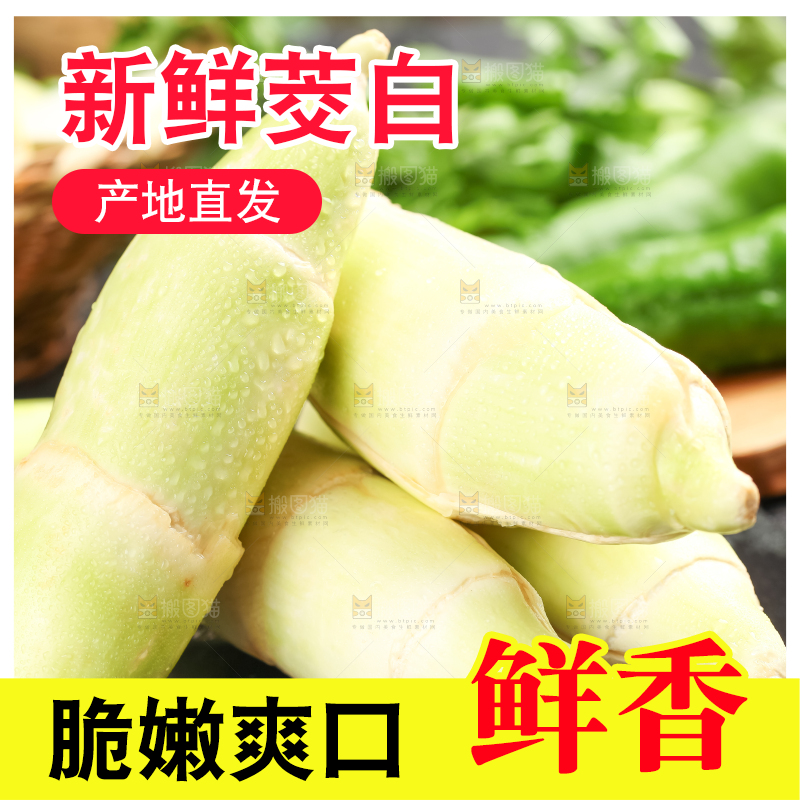 黑石板上的云南茭白
