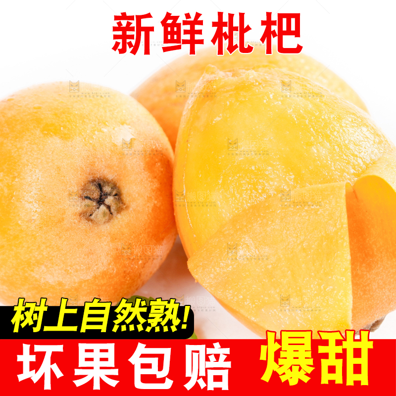 白底上摆放着新鲜枇杷