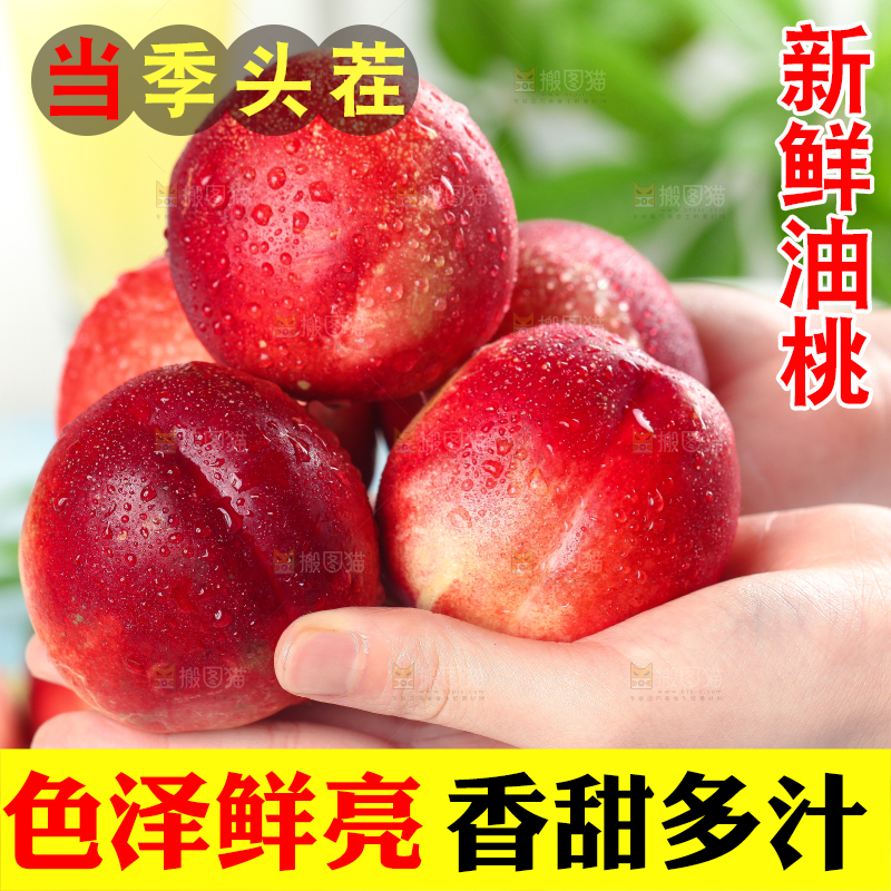 手里拿着新鲜油桃