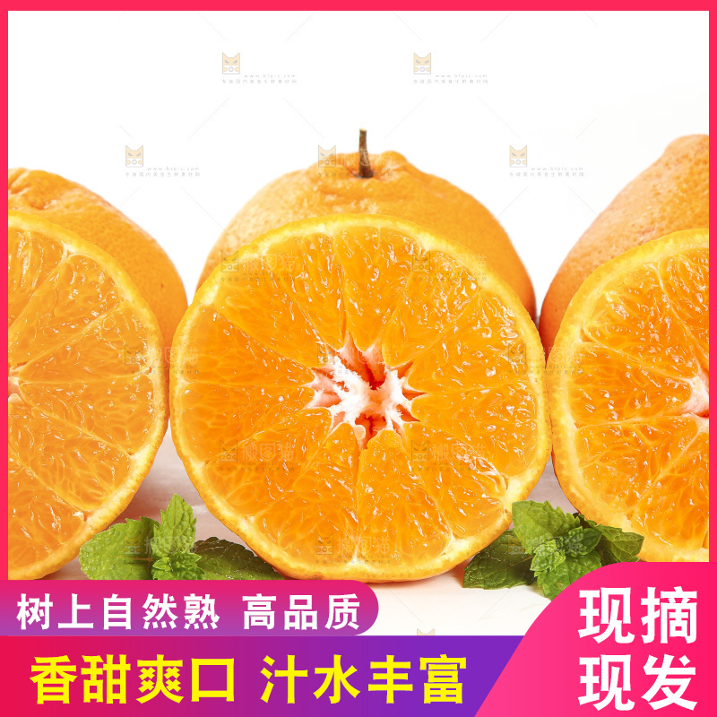 白底上放着一堆春见耙耙柑