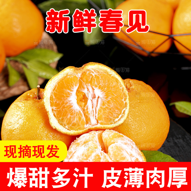 石板上摆放着四川春见耙耙柑