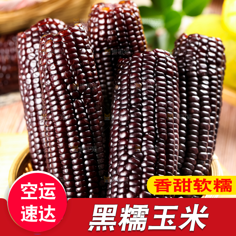 篮子里装着黑玉米