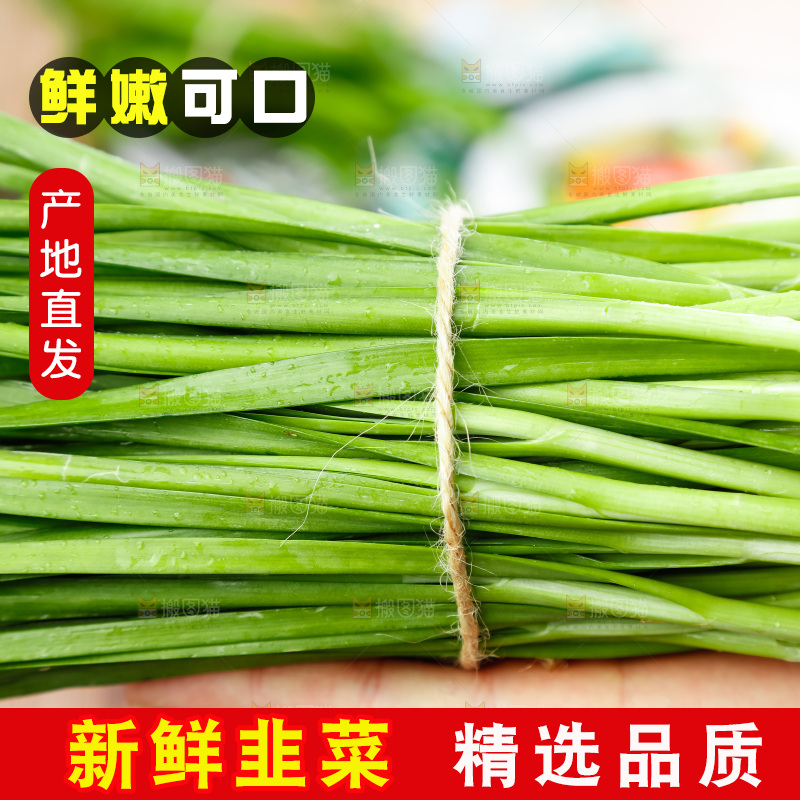 手里拿着一把韭菜