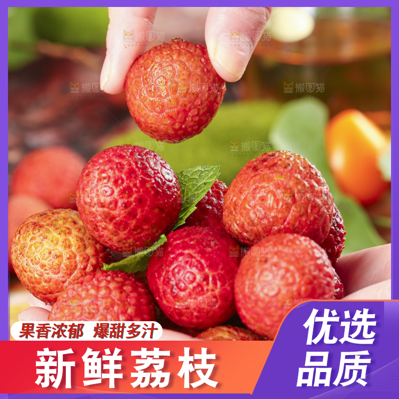 手里拿着广东茂名荔枝