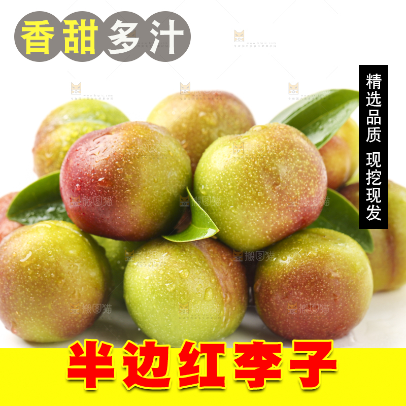 白底上的四川茵红脱骨李