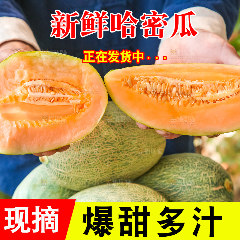 手里拿着网纹蜜瓜
