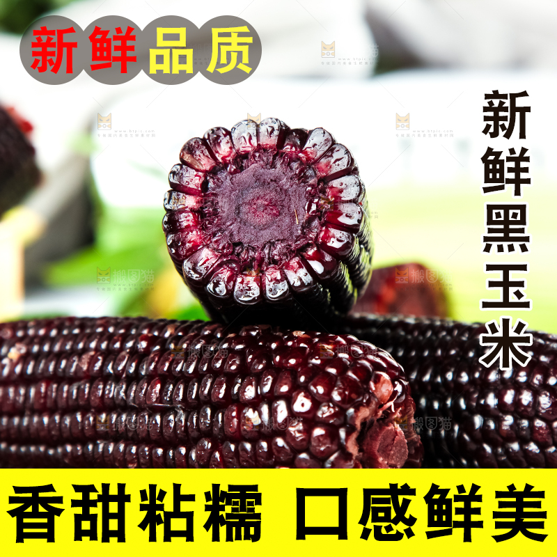 木底上放着东北黑玉米