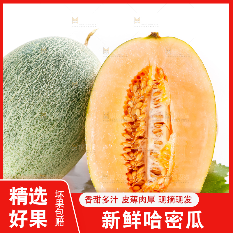 白底上摆放着哈密瓜