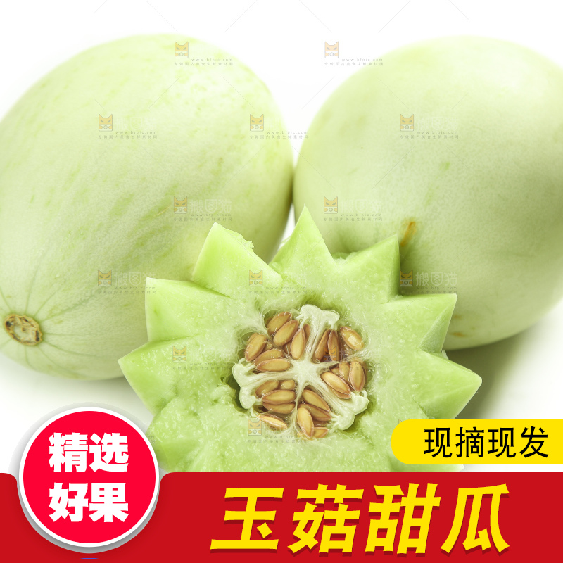 白底上摆放着山东玉菇甜瓜