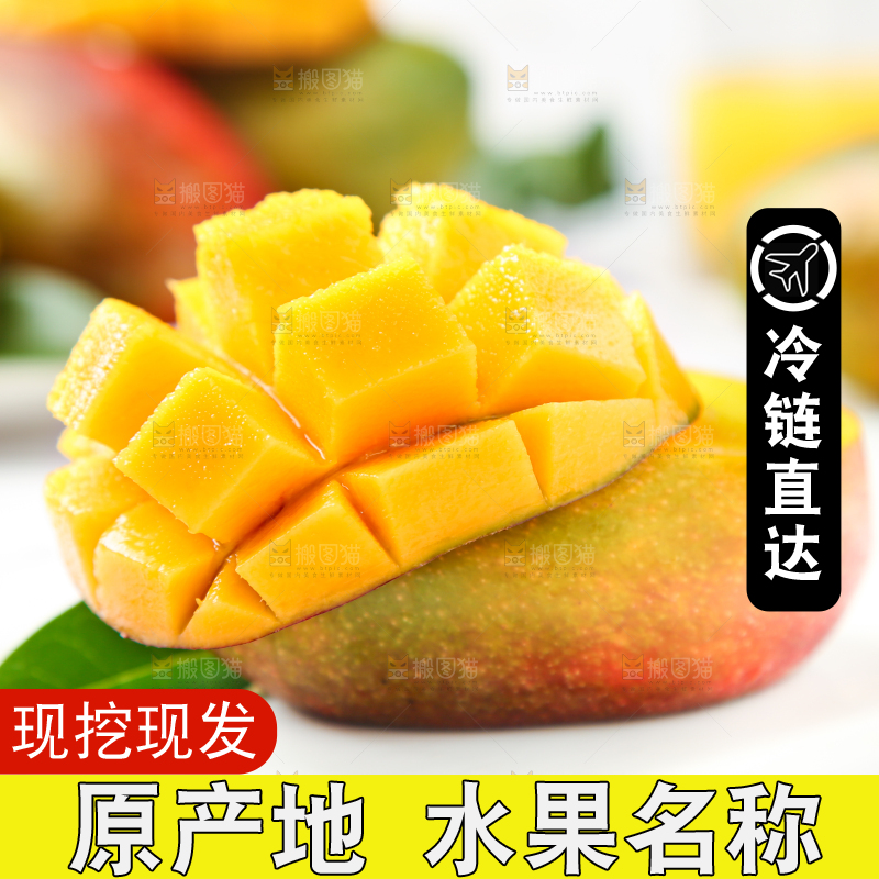 白石板上摆放着四川吉禄芒