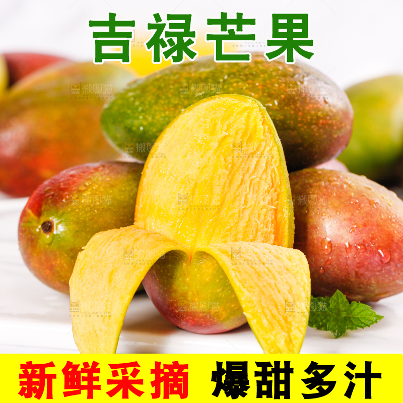白底上放着吉禄芒