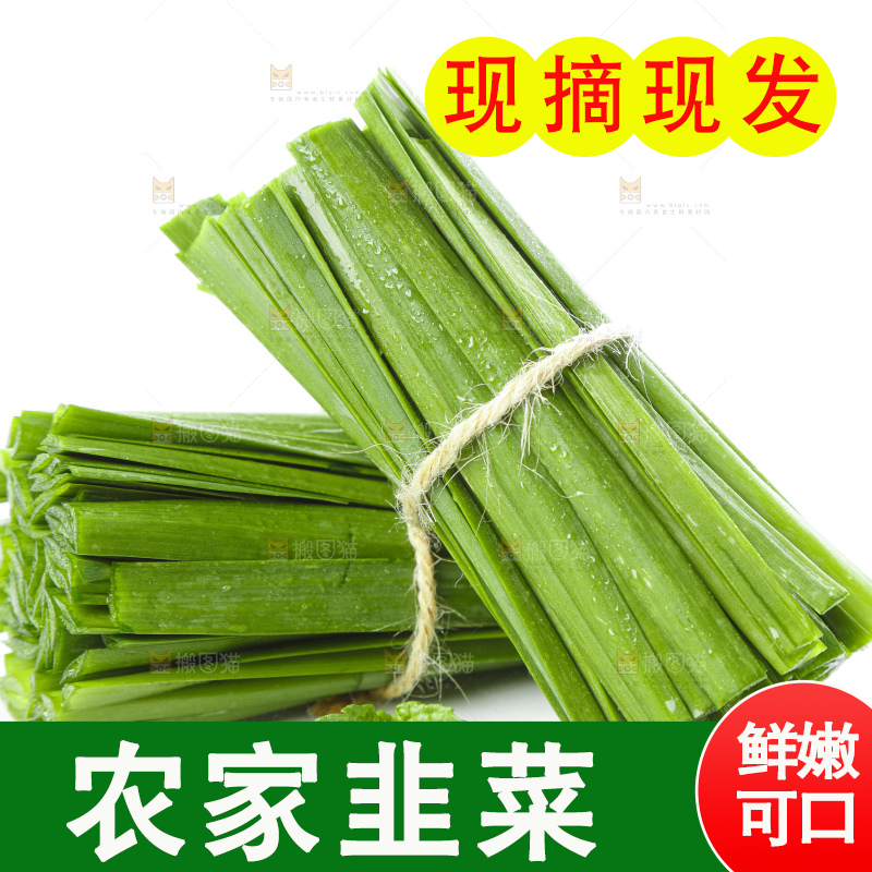 白底上摆放着一把嫩韭菜