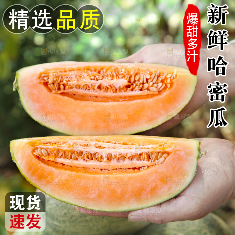 手里拿着哈密瓜