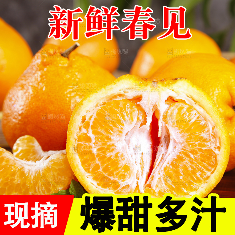 木板上的春见耙耙柑
