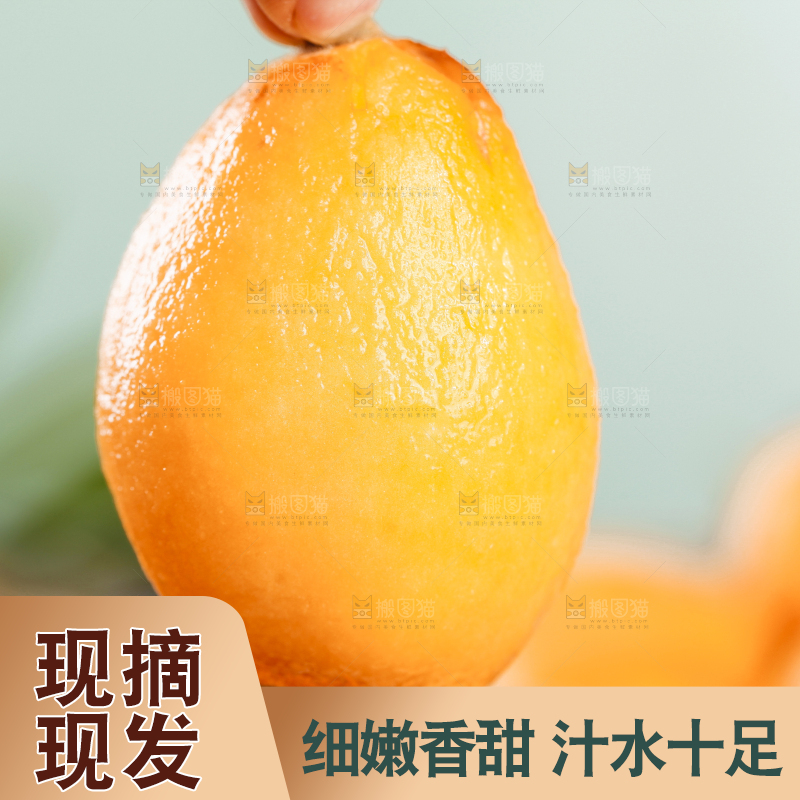 手里拿着枇杷果