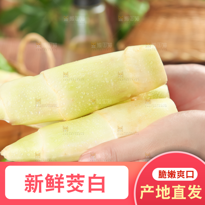 手里拿着湖北新鲜茭白