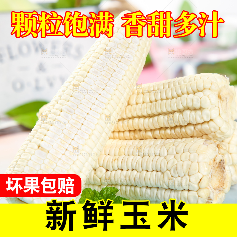 浅底上的牛奶水果玉米