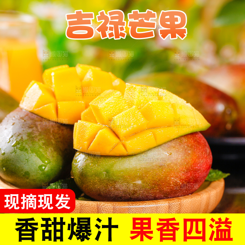 篮子里装着四川吉禄芒