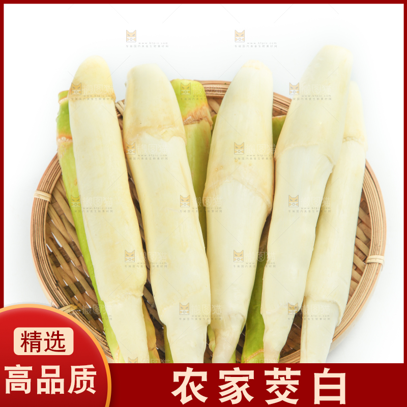 白底上摆放着茭笋