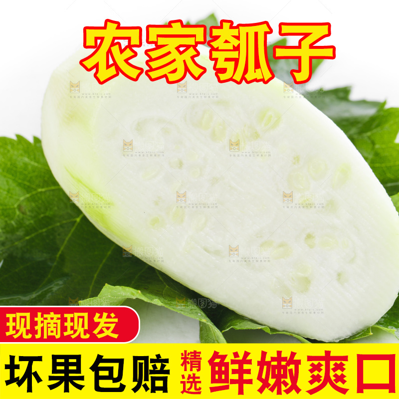 绿叶上放着切丝的蒲瓜