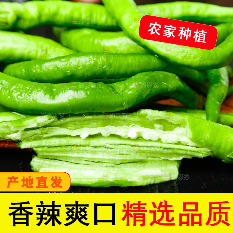 深底上摆放着青尖椒