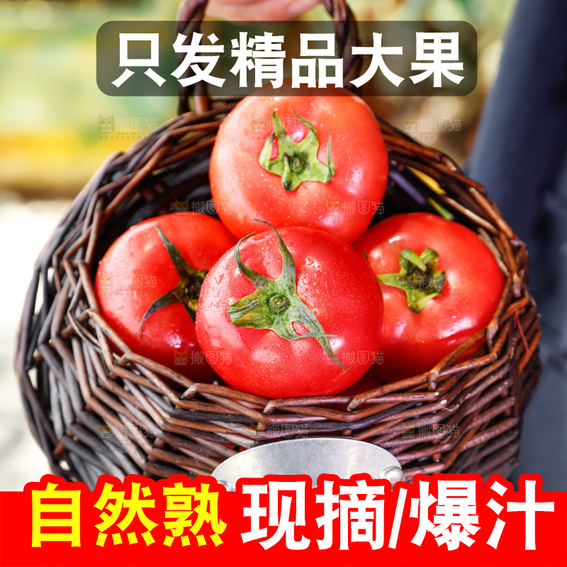 手里拿着普罗旺斯西红柿