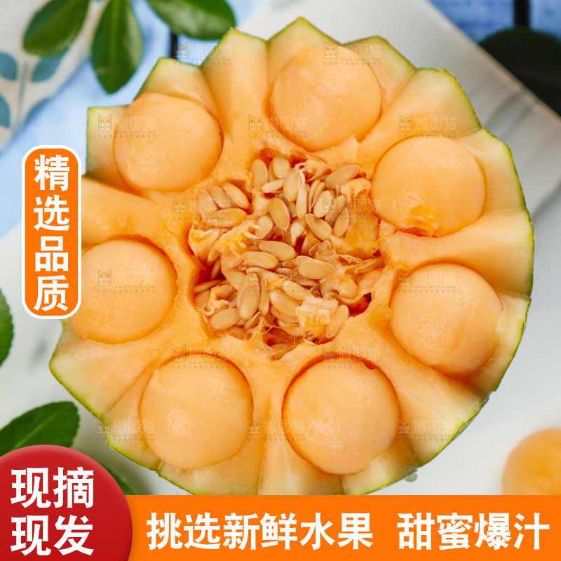 白底上摆放着网纹瓜