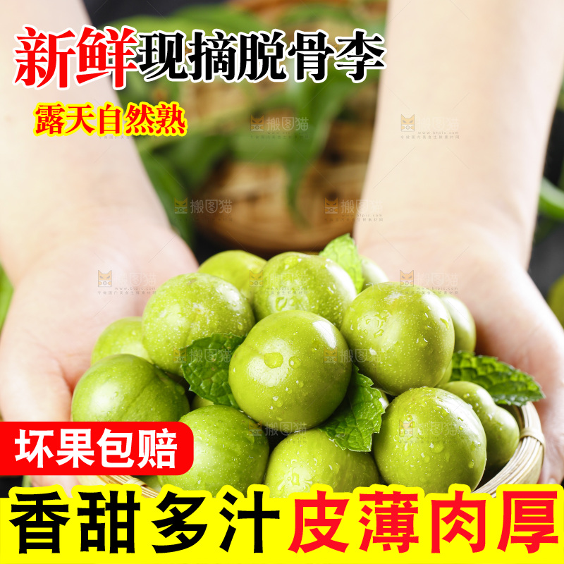 篮子里装着青脆李