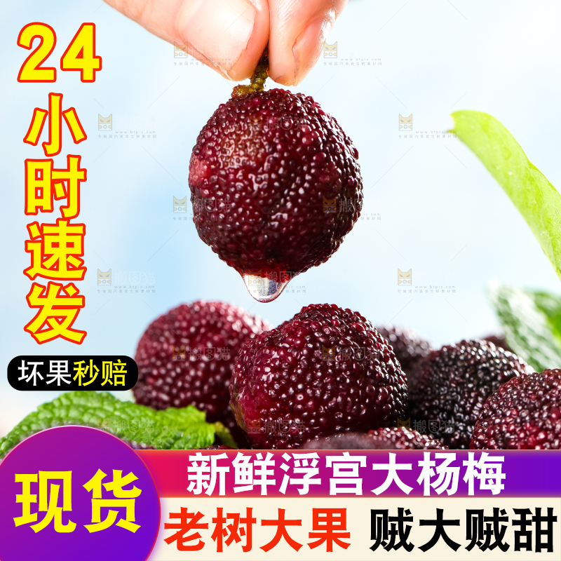 篮子里装着东魁杨梅