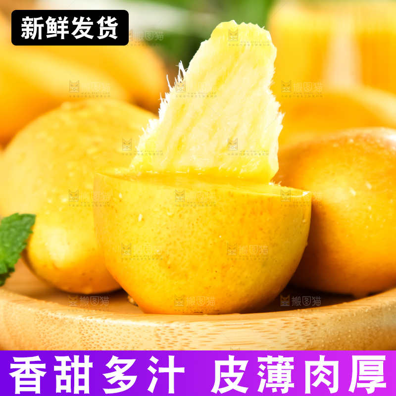 木底上摆放着台农芒