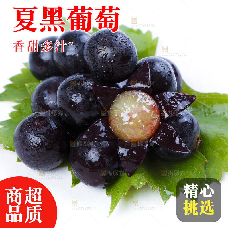 叶子上放着新鲜葡萄