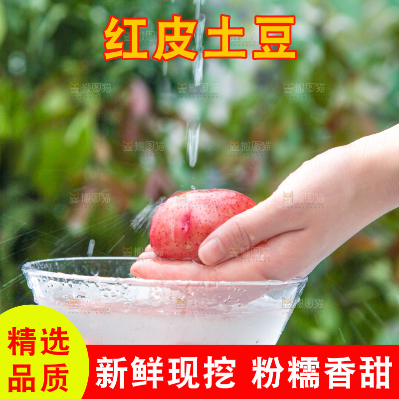 盆子里装着正在清洗的土豆
