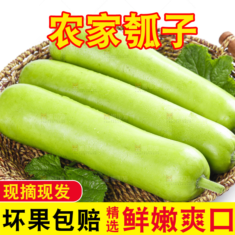 篮子里放着瓠子