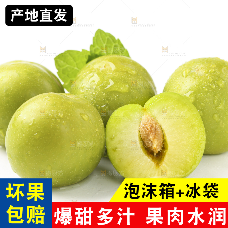 白底上放着脱骨李