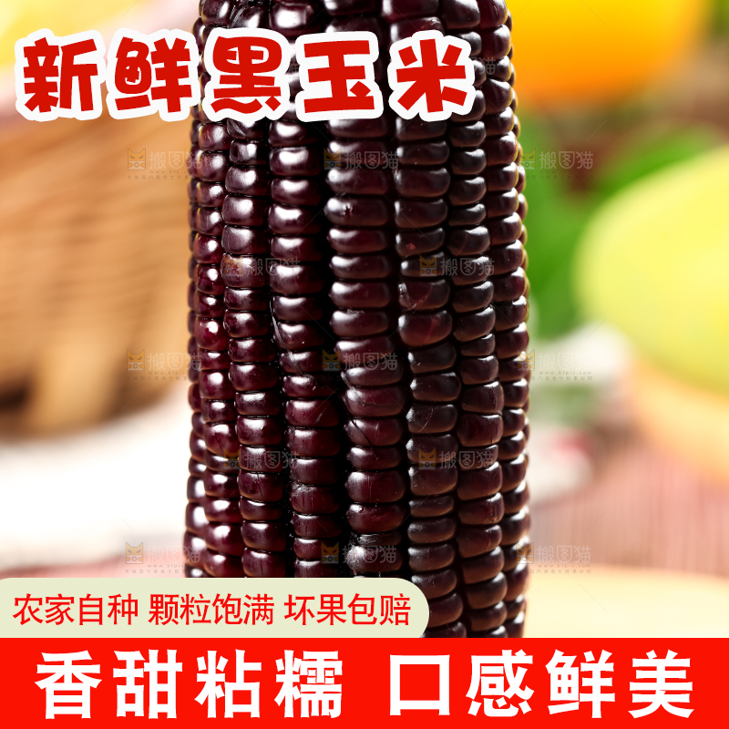 木底上放着黑玉米