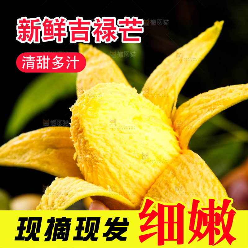 手里拿着四川吉禄芒