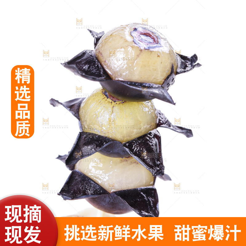 手里拿着蓝莓果