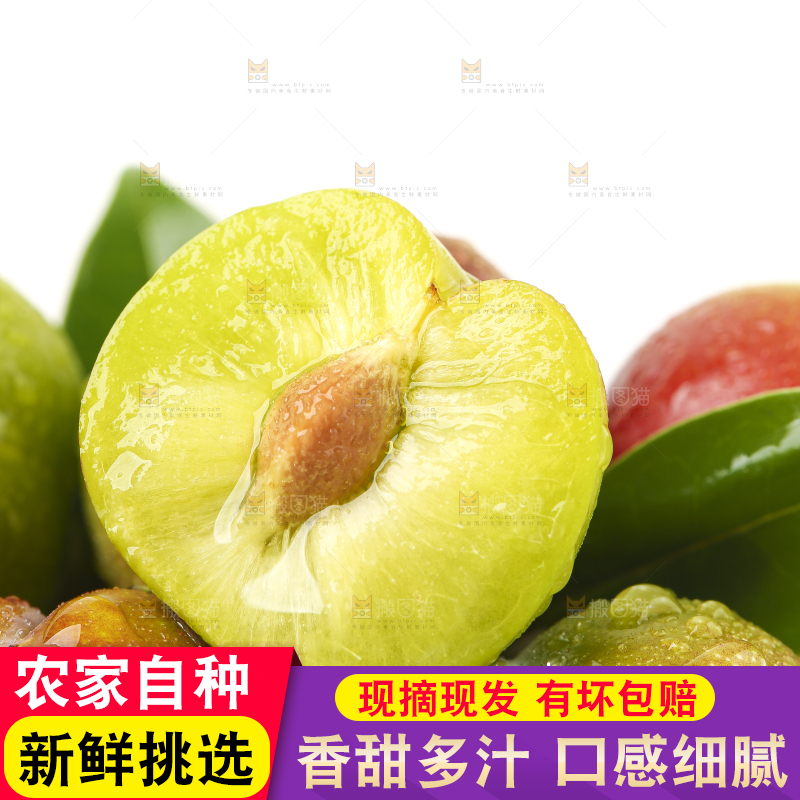 白底上摆放着新鲜李子