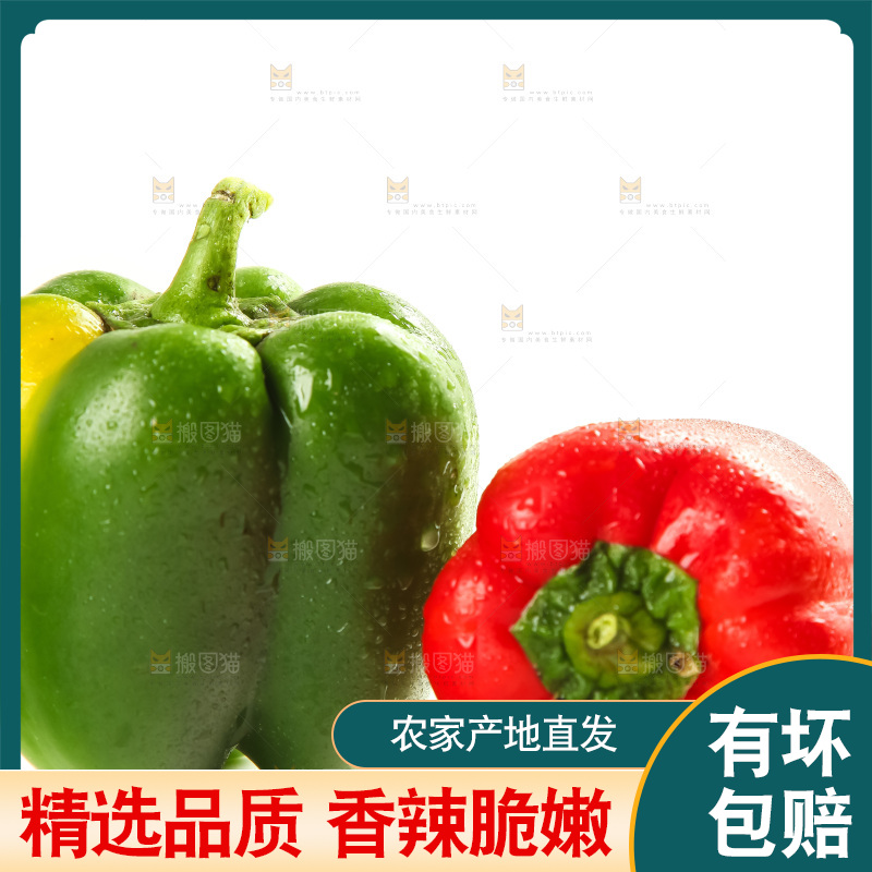 白底上放着灯笼椒