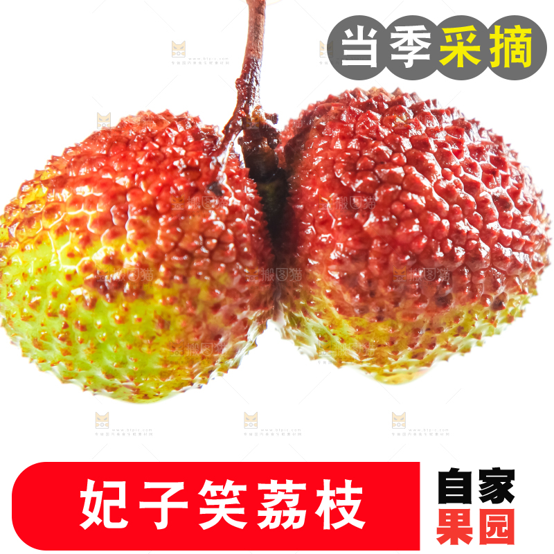 白底上摆放着海南妃子笑荔枝